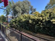 PHOTO 2026 04 13 17 35 46 (25) 1776269738 gallery 180x135